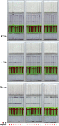 Figure S3: