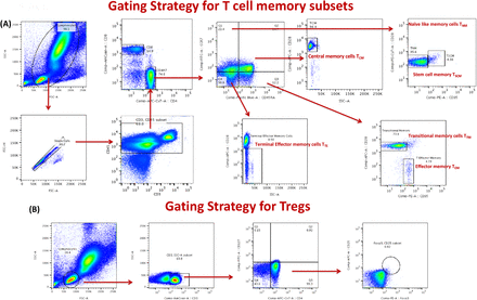 Supplementary Figure 1.