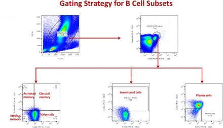 Supplementary Figure 2.