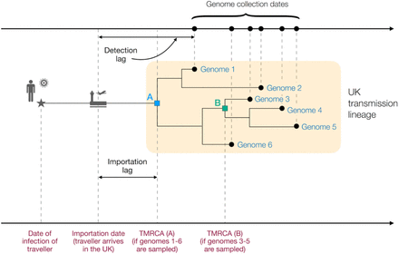 Fig. S2.