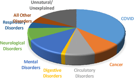 FIGURE 5B