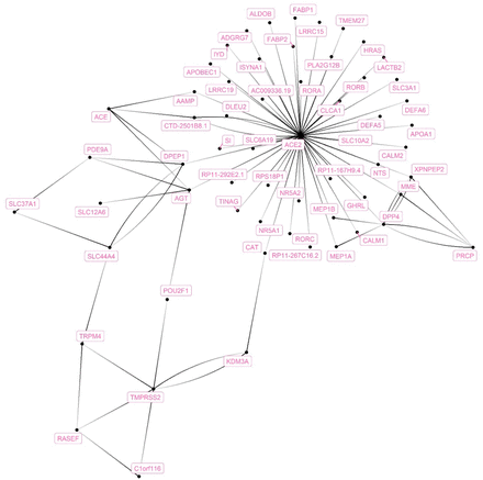 Figure 1: