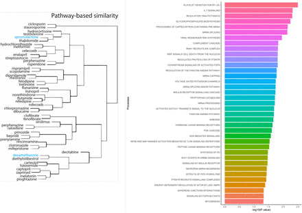 Figure 3: