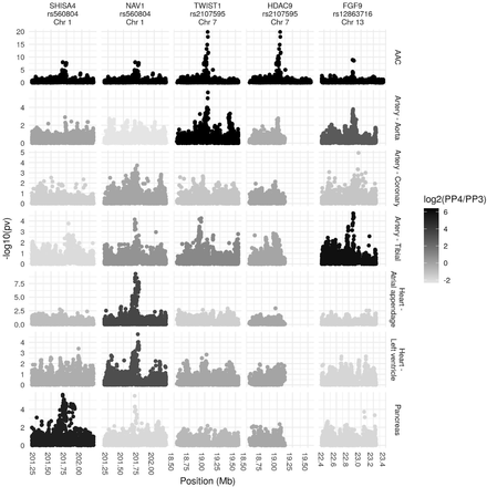 Figure 5: