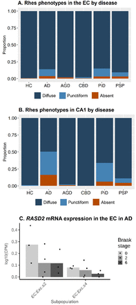 Figure 4: