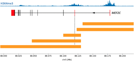 Supplementary Figure 1: