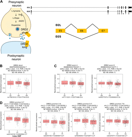 Fig. 3: