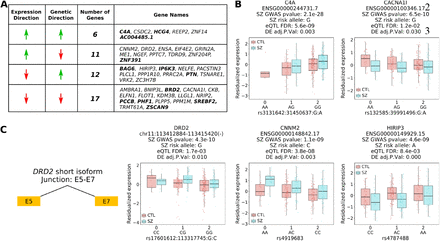 Fig. 6: