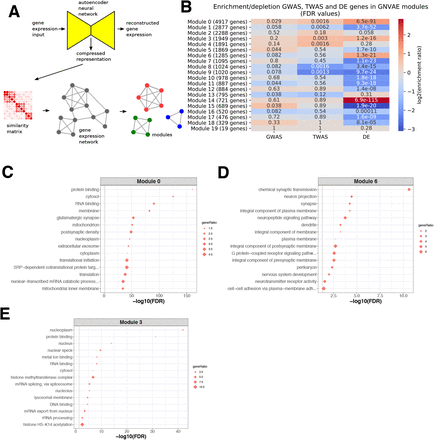 Fig. 7: