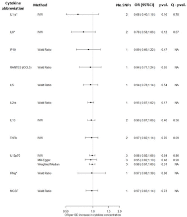 Figure 2A.