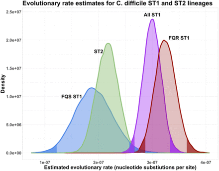 Figure 4: