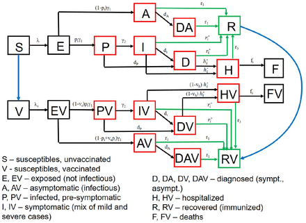 Supplementary figure 1.