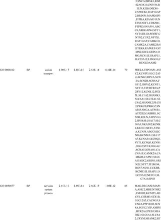 Table 5