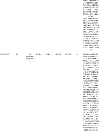 Table 5