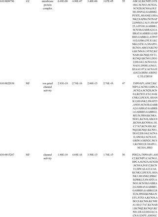 Table 5