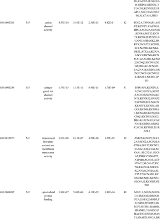 Table 5