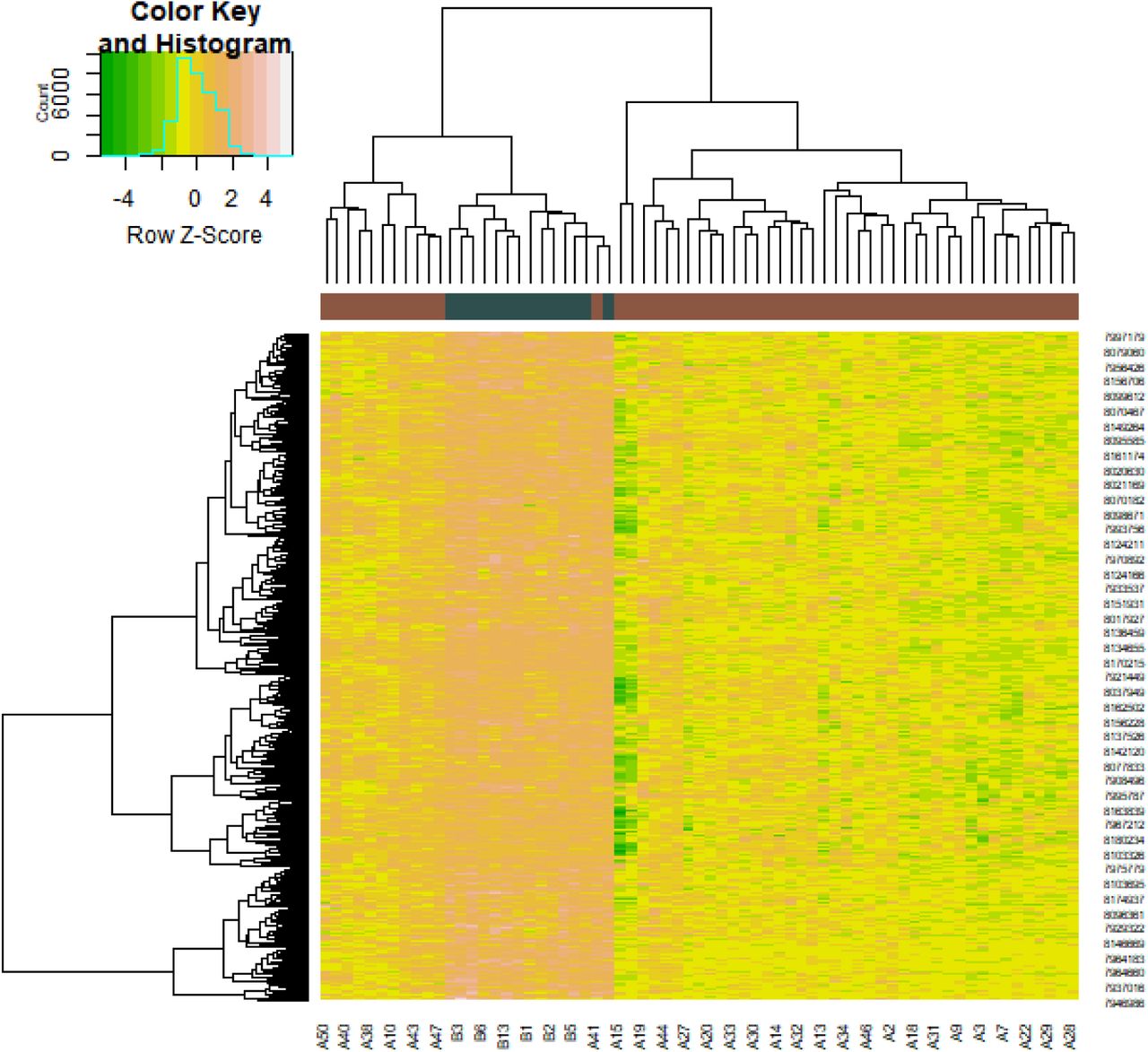 Identification of potential core genes in hepatoblastoma via bioinformatics analysis medRxiv
