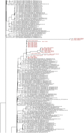 Supplementary Figure 8.