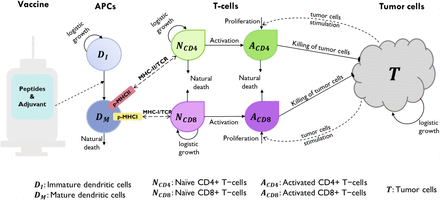 Fig 9.