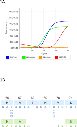 Figure 1A.