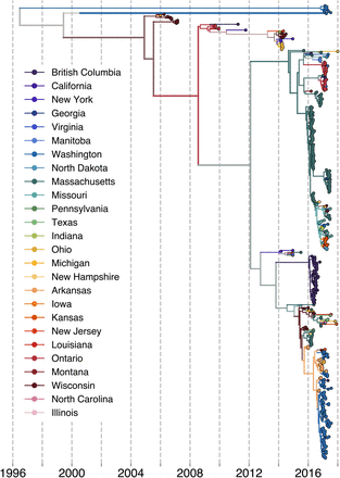 Figure 2: