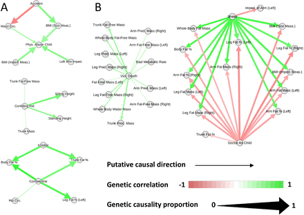 Figure 2: