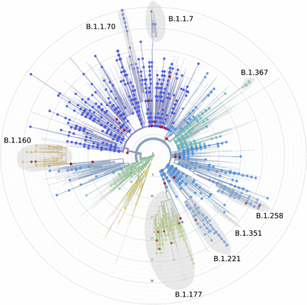 Figure 2: