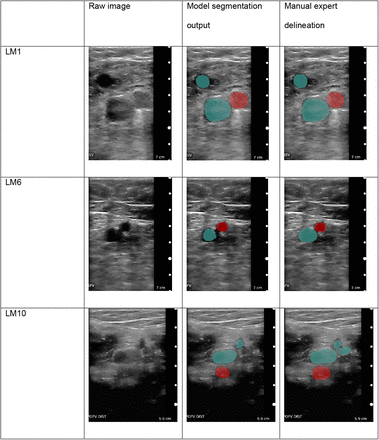 Figure 6: