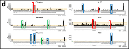 Fig. 3: