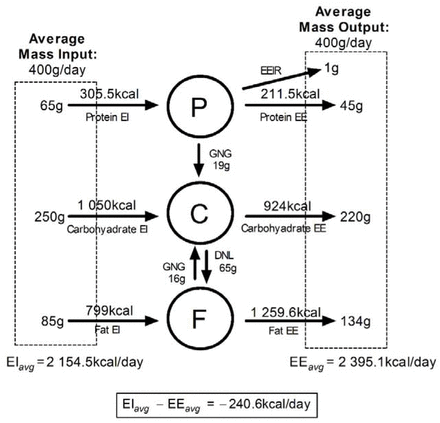 Supplementary File 2 Figure 1.