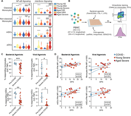 Figure 6: