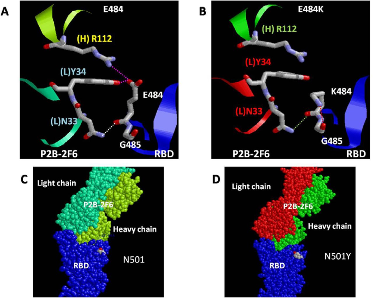 Structural Basis Of Fitness Of Emerging Sars Cov 2 Variants And Considerations For Screening Testing And Surveillance Strategy To Contain Their Threat Medrxiv