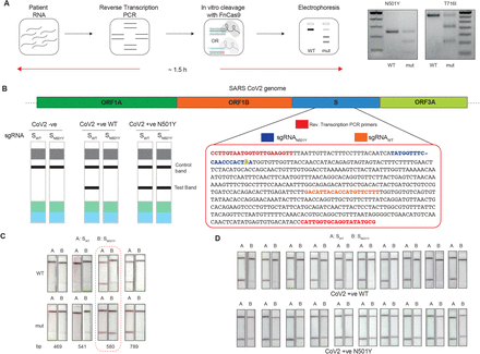 Figure 2: