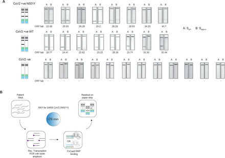 Figure 3: