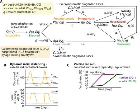 Supplementary figure 1.