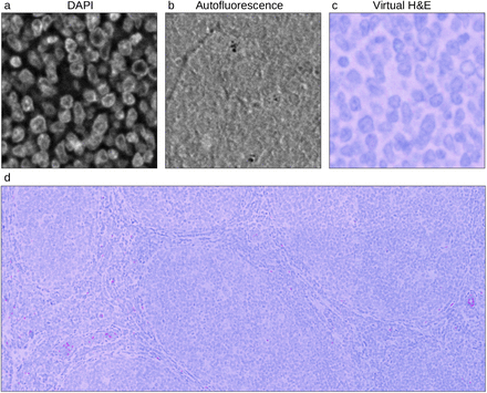 Figure 4.