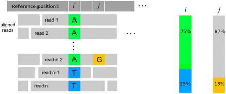 Fig 10.