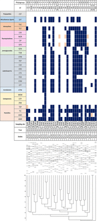 Figure 3: