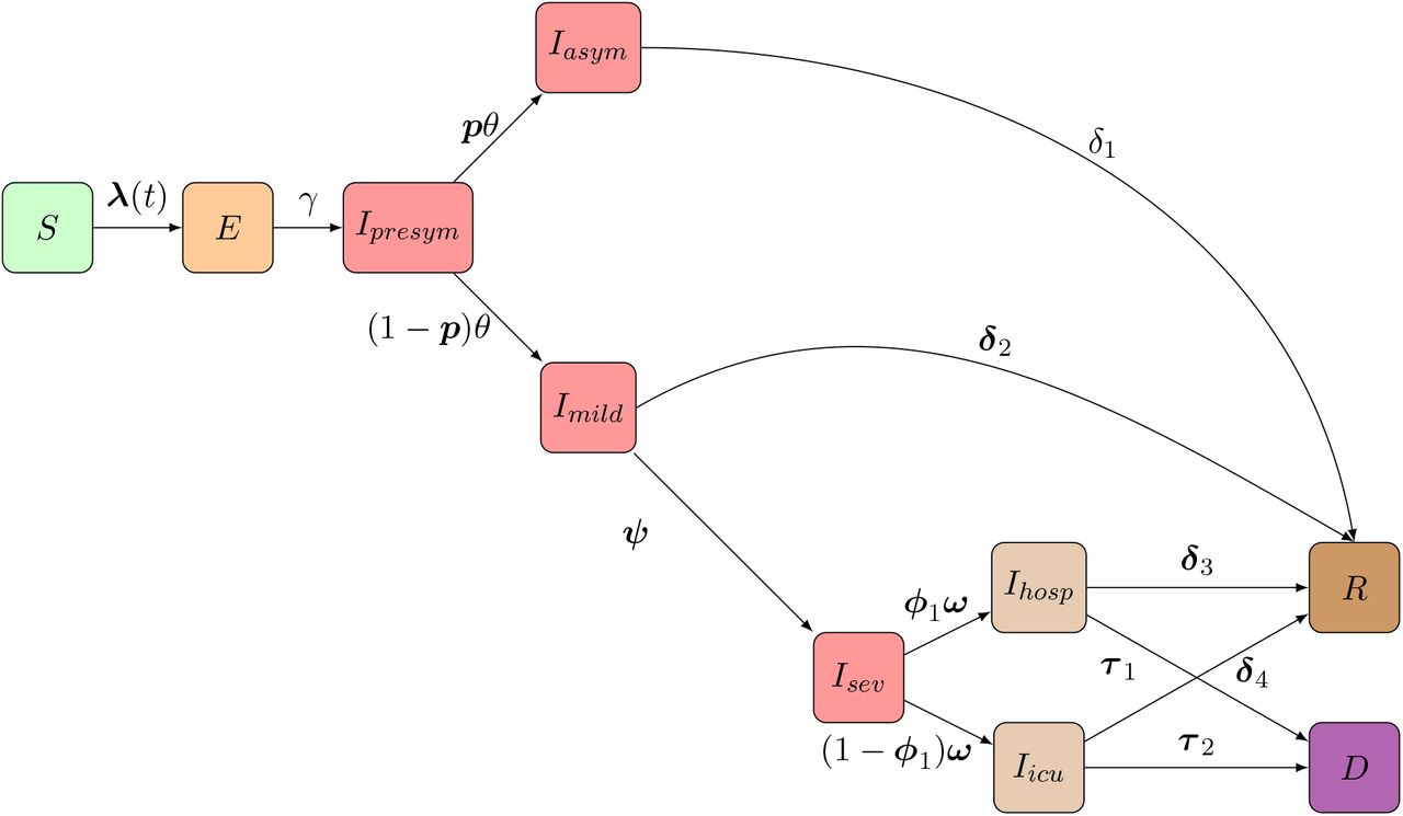 Modeling The Early Phase Of The Belgian Covid 19 Epidemic Using A Stochastic Compartmental Model And Studying Its Implied Future Trajectories Medrxiv