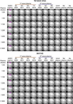 Figure S4: