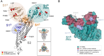 Fig. S11.