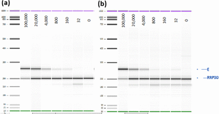 Figure 3: