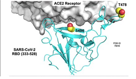 Figure 6.