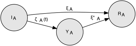 Figure 5: