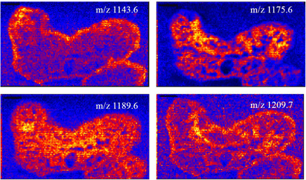 Figure 3: