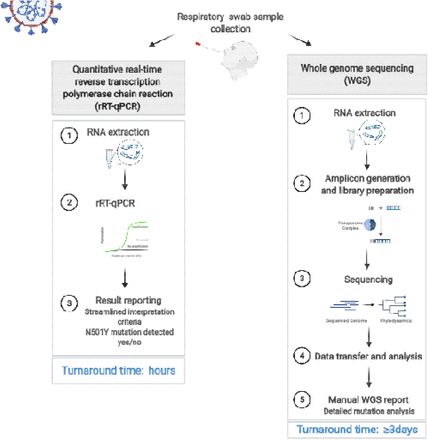 Appendix Figure 1.