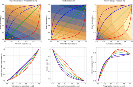 Figure S5: