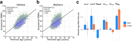 Supplementary Figure 2.