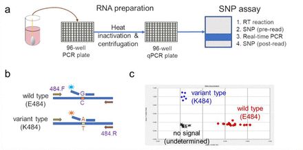 Extended Data Figure 1.