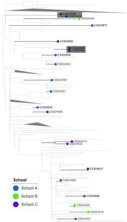 Figure 3: